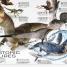 13½ Incredible Things You Need to Know About Everything - thumbnail of spread image 3 Thumbnail image of 13½ Incredible Things You Need to Know About Everything - 3