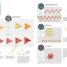Embroider Your Life - thumbnail of spread image 2 Thumbnail image of Embroider Your Life - 2