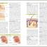 BMA Illustrated Medical Dictionary - thumbnail of spread image 1 Thumbnail image of BMA Illustrated Medical Dictionary - 1