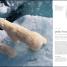 The Science of Animals - thumbnail of spread image 3 Thumbnail image of The Science of Animals - 3