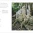 Flora - thumbnail of spread image 1 Thumbnail image of Flora - 1
