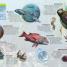 Look Closer Ocean - thumbnail of spread image 2 Thumbnail image of Look Closer Ocean - 2
