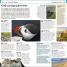 Top 10 Iceland - thumbnail of spread image 1 Thumbnail image of Top 10 Iceland - 1