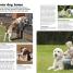 Complete Dog Care - thumbnail of spread image 2 Thumbnail image of Complete Dog Care - 2