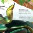 Animals Up Close - thumbnail of spread image 1 Thumbnail image of Animals Up Close - 1