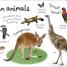 My First Animals Let's Squeak and Squawk - thumbnail of spread image 2 Thumbnail image of My First Animals Let's Squeak and Squawk - 2