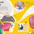 Utterly Amazing Human Body - thumbnail of spread image 2 Thumbnail image of Utterly Amazing Human Body - 2