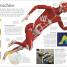 Human Body A Children's Encyclopedia - thumbnail of spread image 2 Thumbnail image of Human Body A Children's Encyclopedia - 2