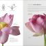 Flora - thumbnail of spread image 2 Thumbnail image of Flora - 2