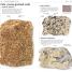 Whats that Rock or Mineral - thumbnail of spread image 2 Thumbnail image of Whats that Rock or Mineral - 2