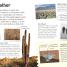 Weather - thumbnail of spread image 1 Thumbnail image of Weather - 1