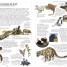 Children's Illustrated Encyclopedia - thumbnail of spread image 2 Thumbnail image of Children's Illustrated Encyclopedia - 2
