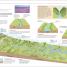 Help Your Kids with Geography - thumbnail of spread image 2 Thumbnail image of Help Your Kids with Geography - 2