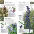 Wild Flowers - thumbnail of spread image 1 Thumbnail image of Wild Flowers - 1