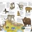 The Animal Atlas - thumbnail of spread image 3 Thumbnail image of The Animal Atlas - 3