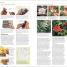 RHS Propagating Plants - thumbnail of spread image 1 Thumbnail image of RHS Propagating Plants - 1