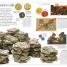 DK Eyewitness Books: Money - thumbnail of spread image 2 Thumbnail image of DK Eyewitness Books: Money - 2