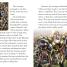 DK Adventures: Marvel The Avengers: Battle Against Ultron - thumbnail of spread image 3 Thumbnail image of DK Adventures: Marvel The Avengers: Battle Against Ultron - 3