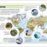 Pocket Eyewitness Earth - thumbnail of spread image 3 Thumbnail image of Pocket Eyewitness Earth - 3