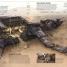 Star Wars Complete Locations - thumbnail of spread image 3 Thumbnail image of Star Wars Complete Locations - 3