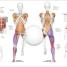 Science of Running - thumbnail of spread image 1 Thumbnail image of Science of Running - 1