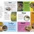DKfindout! Animals - thumbnail of spread image 2 Thumbnail image of DKfindout! Animals - 2