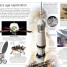 DK Eyewitness Books: Planets - thumbnail of spread image 1 Thumbnail image of DK Eyewitness Books: Planets - 1