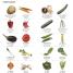 French Visual Phrase Book - thumbnail of spread image 2 Thumbnail image of French Visual Phrase Book - 2
