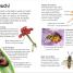 Insects and Spiders - thumbnail of spread image 2 Thumbnail image of Insects and Spiders - 2