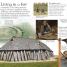 Eye Wonder: Vikings - thumbnail of spread image 2 Thumbnail image of Eye Wonder: Vikings - 2