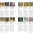 DK Eyewitness Travel Guide Kenya - thumbnail of spread image 1 Thumbnail image of DK Eyewitness Travel Guide Kenya - 1