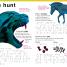 DK Braille: Animals - thumbnail of spread image 3 Thumbnail image of DK Braille: Animals - 3