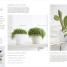 RHS Practical House Plant Book - thumbnail of spread image 2 Thumbnail image of RHS Practical House Plant Book - 2