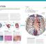 The Complete Human Body - thumbnail of spread image 3 Thumbnail image of The Complete Human Body - 3