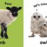 Baby Touch and Feel: Fluffy Animals - thumbnail of spread image 1 Thumbnail image of Baby Touch and Feel: Fluffy Animals - 1