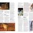 DK Eyewitness Travel Guide Southwest USA and National Parks - thumbnail of spread image 3 Thumbnail image of DK Eyewitness Travel Guide Southwest USA and National Parks - 3