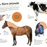 Farm Ultimate Sticker Book - thumbnail of spread image 2 Thumbnail image of Farm Ultimate Sticker Book - 2