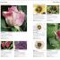 RHS Pests & Diseases - thumbnail of spread image 1 Thumbnail image of RHS Pests & Diseases - 1