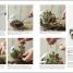 Practical Cactus and Succulent Book - thumbnail of spread image 2 Thumbnail image of Practical Cactus and Succulent Book - 2
