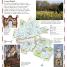 DK Eyewitness Dublin Pocket Map and Guide - thumbnail of spread image 3 Thumbnail image of DK Eyewitness Dublin Pocket Map and Guide - 3