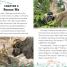 DK Adventures: Jungle Adventures - thumbnail of spread image 1 Thumbnail image of DK Adventures: Jungle Adventures - 1