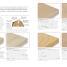 Woodwork Step by Step - thumbnail of spread image 1 Thumbnail image of Woodwork Step by Step - 1