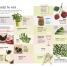 Grow Something to Eat Every Day - thumbnail of spread image 2 Thumbnail image of Grow Something to Eat Every Day - 2