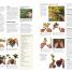 RHS Encyclopedia of Gardening - thumbnail of spread image 2 Thumbnail image of RHS Encyclopedia of Gardening - 2