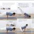 Yoga Your Home Practice Companion - thumbnail of spread image 3 Thumbnail image of Yoga Your Home Practice Companion - 3