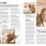 Complete Cat Care - thumbnail of spread image 1 Thumbnail image of Complete Cat Care - 1