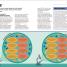 How Philosophy Works - thumbnail of spread image 4 Thumbnail image of How Philosophy Works - 4