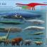 Dinosaurs A Children's Encyclopedia - thumbnail of spread image 4 Thumbnail image of Dinosaurs A Children's Encyclopedia - 4
