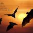 All About Bats - thumbnail of spread image 2 Thumbnail image of All About Bats - 2