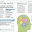 Project Management - thumbnail of spread image 1 Thumbnail image of Project Management - 1
